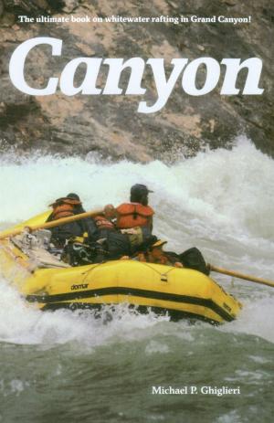 bigCover of the book Canyon by 