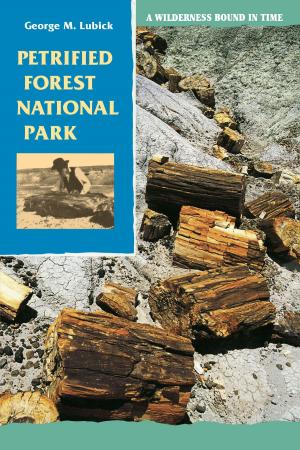 Cover of the book Petrified Forest National Park by Guadalupe Sánchez