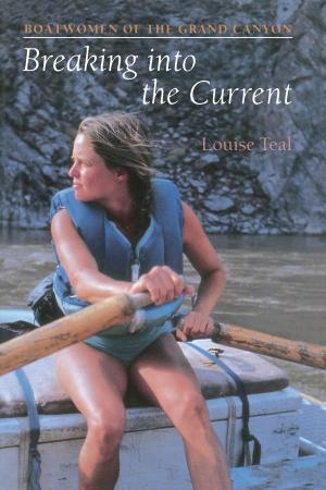 Cover of the book Breaking Into the Current by Anna Moore Shaw