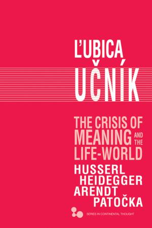 Cover of the book The Crisis of Meaning and the Life-World by Andrew Welsh-Huggins