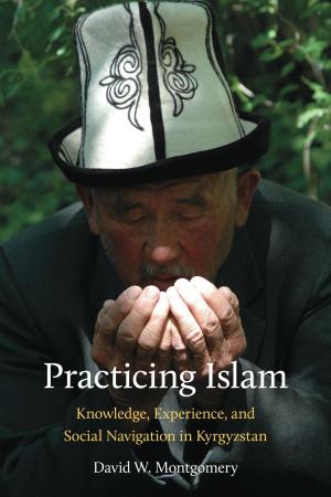 Cover of the book Practicing Islam by Kirsten Kaschock