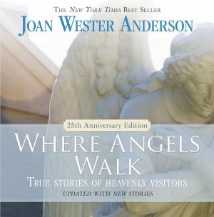 Cover of the book Where Angels Walk (25th Anniversary Edition) by Father Mark E. Thibodeaux, SJ