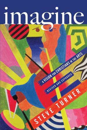Cover of the book Imagine by Brian Godawa