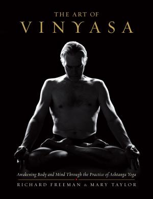 Book cover of The Art of Vinyasa