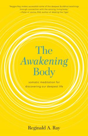 Book cover of The Awakening Body