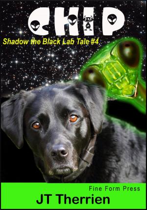 Cover of the book Chip: A Shadow the Black Lab Tale #4 by Edwin McRae