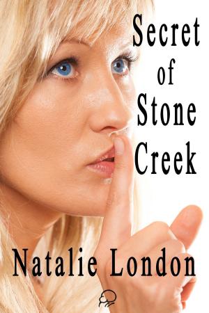 Cover of Secret of Stone Creek