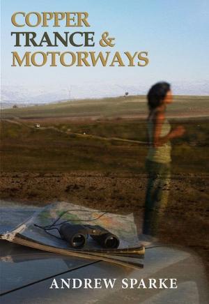 Cover of the book Copper Trance & Motorways by Gail McFarland