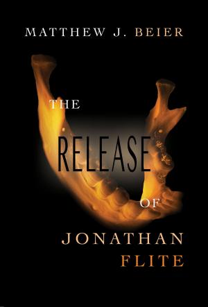 Cover of the book The Release of Jonathan Flite by Mark Andrew Sekela