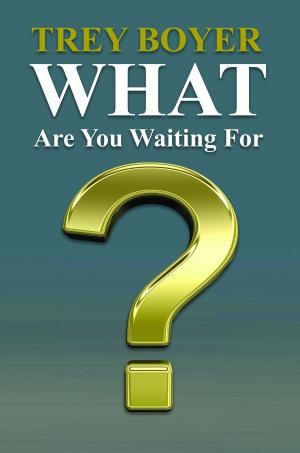 Cover of the book What Are You Waiting For? by Virend Singh, Verusha Singh