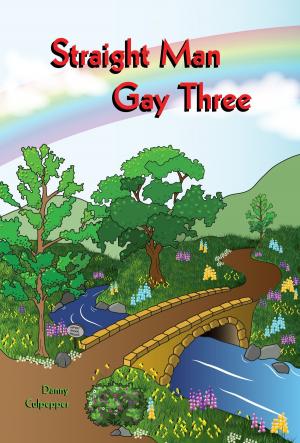 Cover of the book Straight Man Gay Three by Nephy Hart