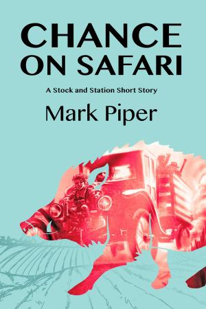 Cover of the book Chance On Safari by CR Robertson