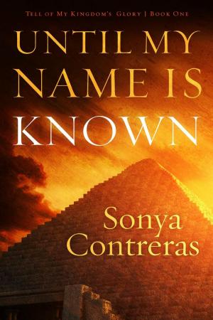Cover of the book Until My Name Is Known by Tricia Linden