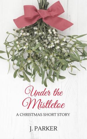 Cover of the book Under the Mistletoe: A Christmas Story by Geri Buckley Borcz