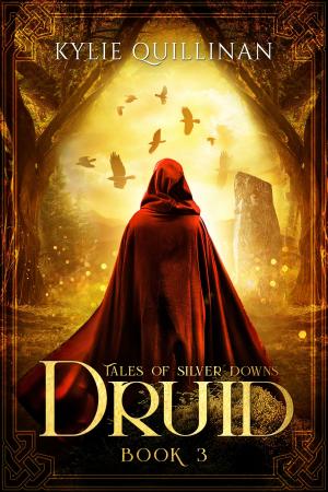 Cover of the book Druid by Patria L. Dunn (Patria Dunn-Rowe)