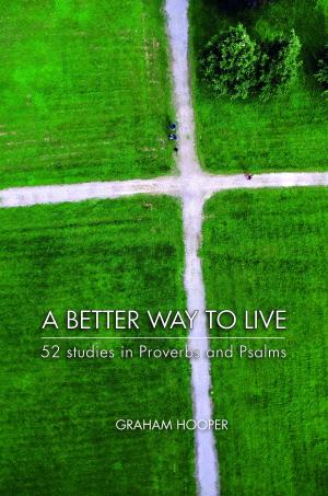 Cover of the book A Better Way to Live by Lorne Elliott