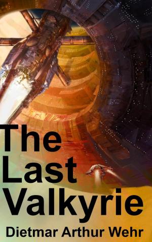 Cover of the book The Last Valkyrie by D.C. Lozar
