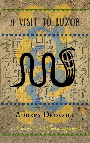 Cover of the book A Visit to Luxor by CD Dowell