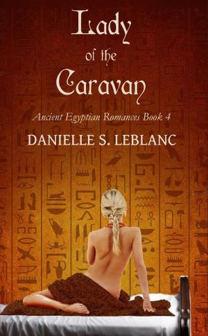 Cover of the book Lady of the Caravan by Tess St. John