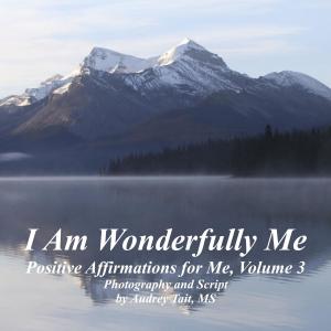Book cover of I Am Wonderfully Me