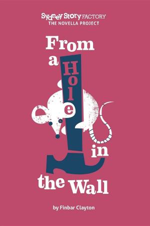 Cover of From A Hole In The Wall