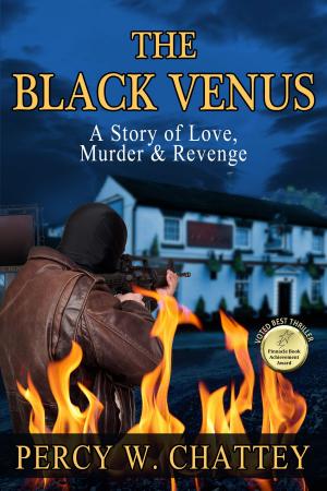 Cover of the book The Black Venus by Zoe Robinson