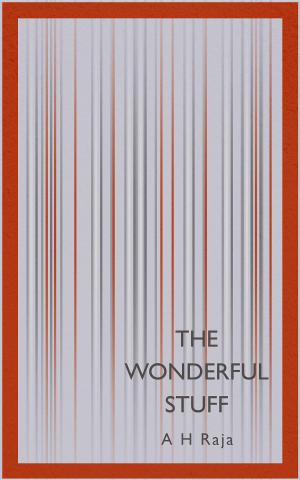 bigCover of the book The Wonderful Stuff by 