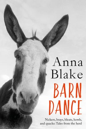 Cover of Barn Dance: Nickers, Brays, Bleats, Howls, and Quacks. Tales from the Herd.
