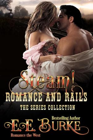 Cover of the book Steam! Romance and Rails by Guido Pagliarino
