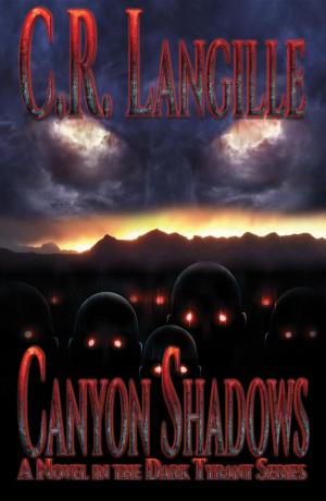 Cover of the book Canyon Shadows by Wayne Miller