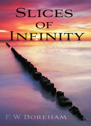 Cover of Slices of Infinity