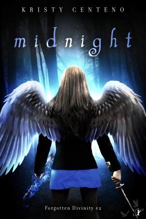 Cover of the book Midnight by T. Michelle Nelson
