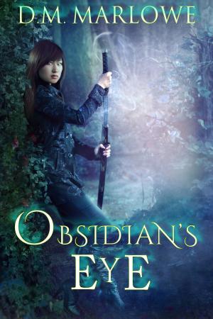 Cover of the book Obsidian's Eye by Chris Lester