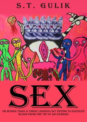 Cover of the book Sex by Jeff Folschinsky