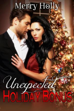 Book cover of Unexpected Holiday Bonus
