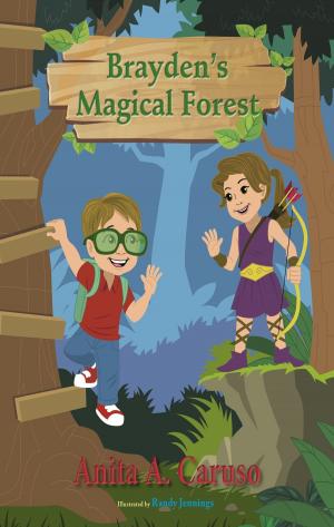 Cover of the book Brayden's Magical Forest: Book 3 in the Brayden's Magical Journey Series by Susie Rich
