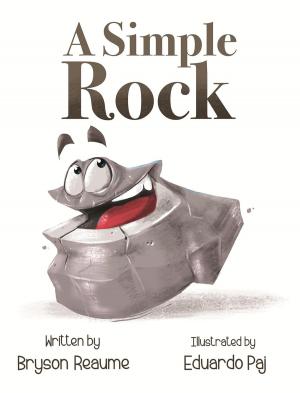 Book cover of A Simple Rock