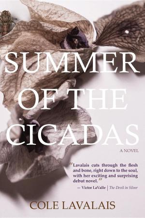 Cover of the book Summer of the Cicadas by K. J. Colt