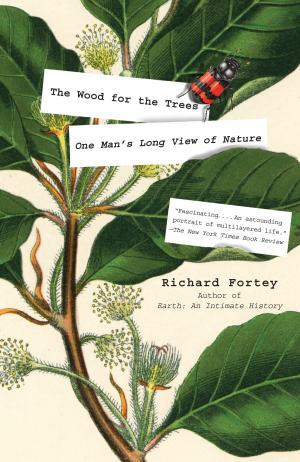 Cover of the book The Wood for the Trees by Marge Piercy