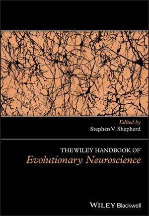 Cover of the book The Wiley Handbook of Evolutionary Neuroscience by Ji Zhang, Xiaoqi Yu