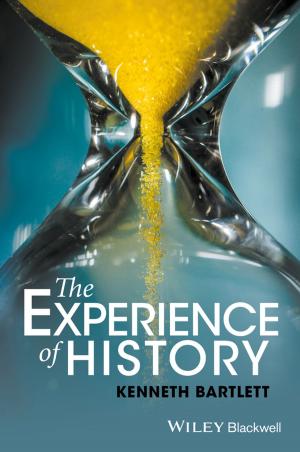 Cover of the book The Experience of History by Ben Mardell, Mara Krechevsky, Melissa Rivard, Daniel Wilson