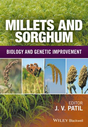 Cover of the book Millets and Sorghum by Tharwat M. Baban