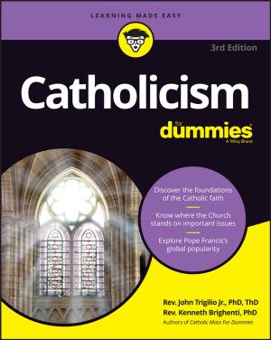 Cover of the book Catholicism For Dummies by Norman Blaikie, Jan Priest