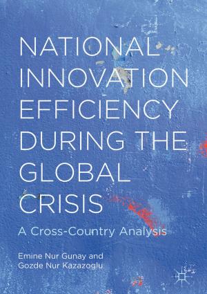 Cover of the book National Innovation Efficiency During the Global Crisis by Adolfo Campoy-Cubillo
