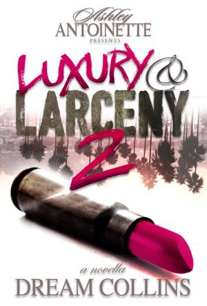 Cover of the book Luxury and Larceny: Part 2 by Ann Cleeves