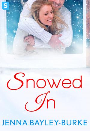 Cover of the book Snowed In by Dewey Lambdin