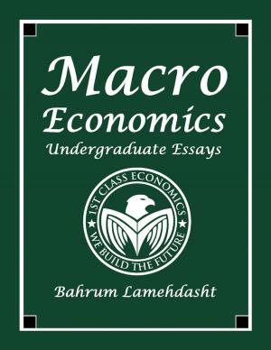 Cover of the book Macroeconomics Undergraduate Essays by Else Cederborg