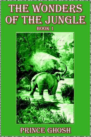 Cover of the book The Wonders of the Jungle by Percy F. Westerman