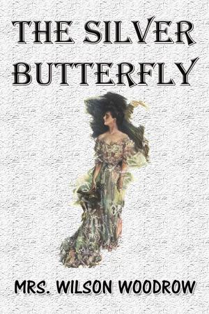 Cover of the book The Silver Butterfly by An Antiquary