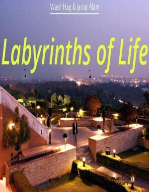 Cover of the book Labyrinths of Life by Graham Soloman